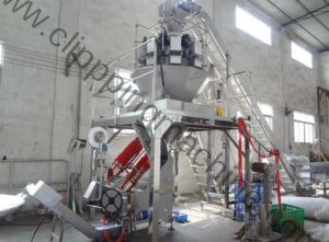 Full Automatic Onion Mesh Bag Packing Line